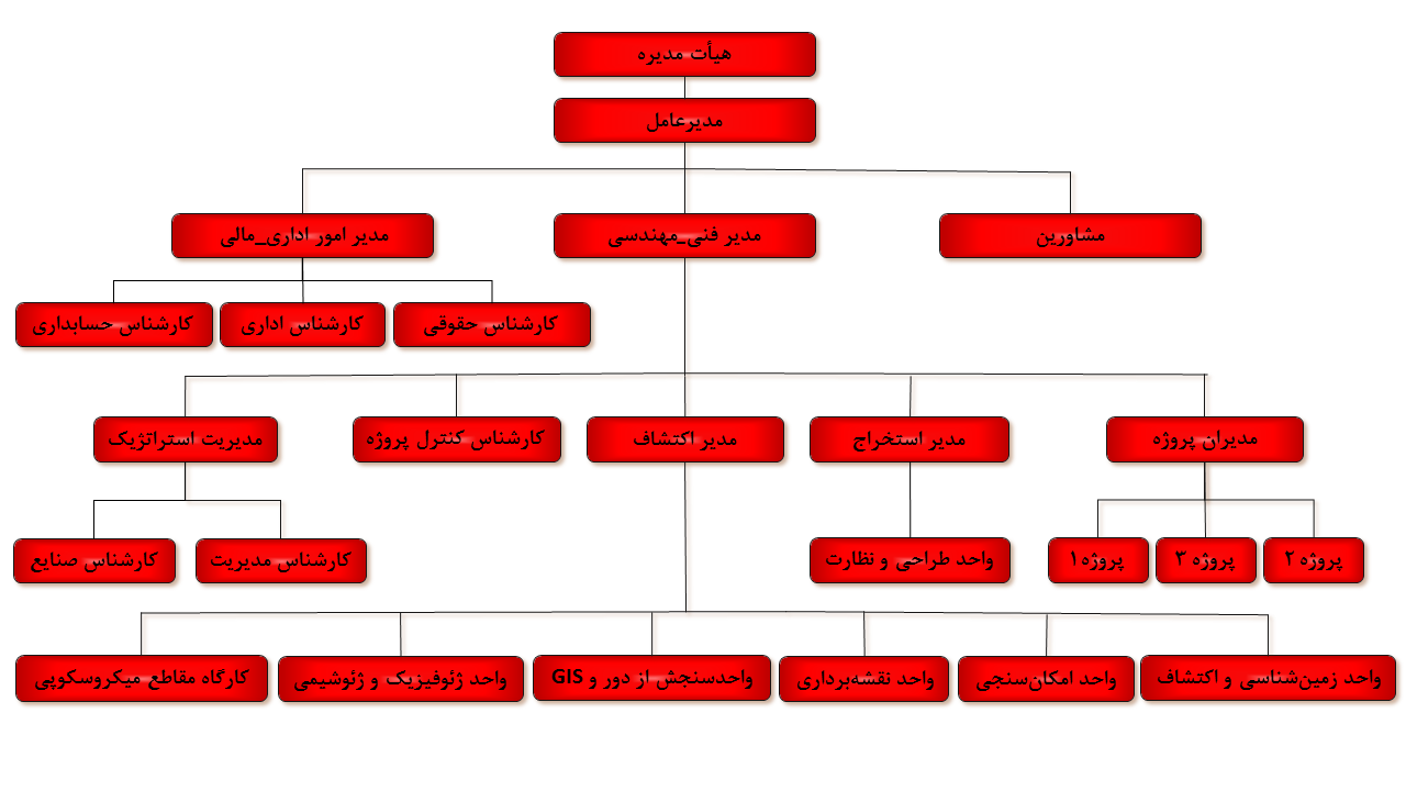 نمودار سازمانی