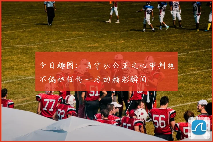 今日趣图：马宁以公正之心审判绝不偏袒任何一方的精彩瞬间